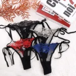 Women Ladies Hollow Out Embroidery Low Waist Lingerie Panties Underwear Panty Brief