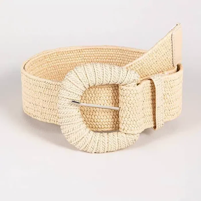 100cm New Retro Women Summer Pin Buckle Belts Fashion Female Braided Wide Belts Designer Woven Elastic PP Straw Girls Waistband - Image 3